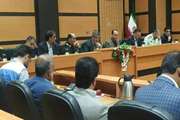 بحران بروز و شیوع بیماری های دامی و مشترک بین انسان و دام در شرایط سیل، خطرناکتر از خود سیل 